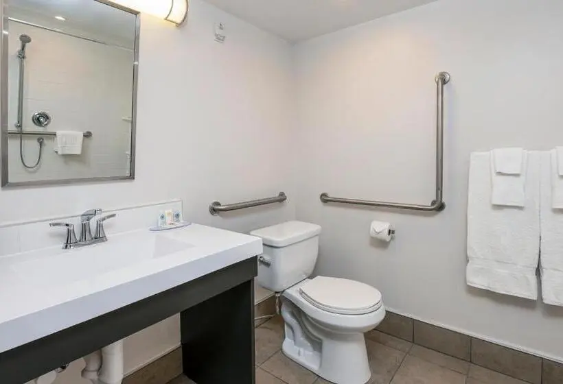 身障者適用スタンダードルーム, Comfort Suites Kingston Central