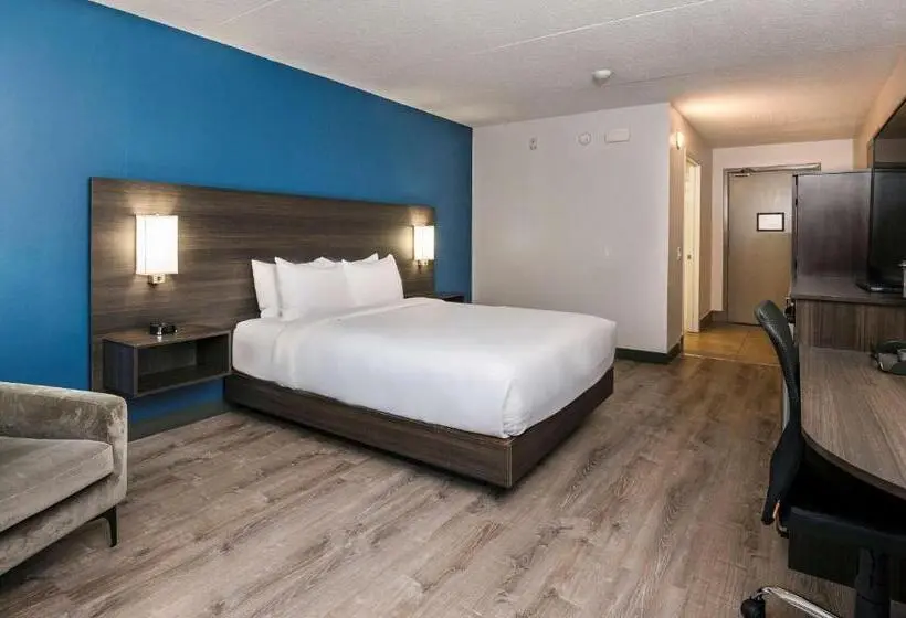 身障者適用スタンダードルーム, Comfort Suites Kingston Central