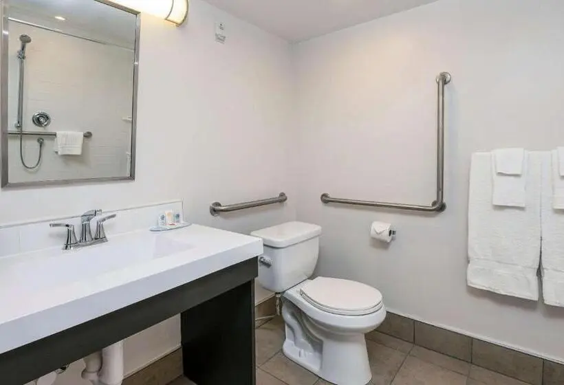 身障者適用スタンダードルーム, Comfort Suites Kingston Central