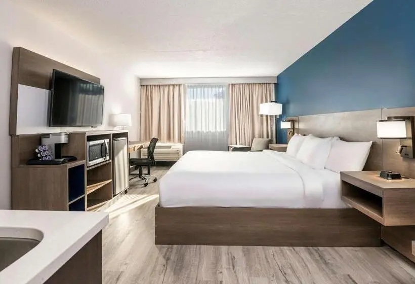 キングサイズベッドのスタンダードルーム, Comfort Suites Kingston Central