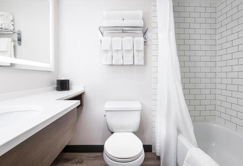 스탠다드 룸 킹사이즈 침대, Comfort Suites Kingston Central