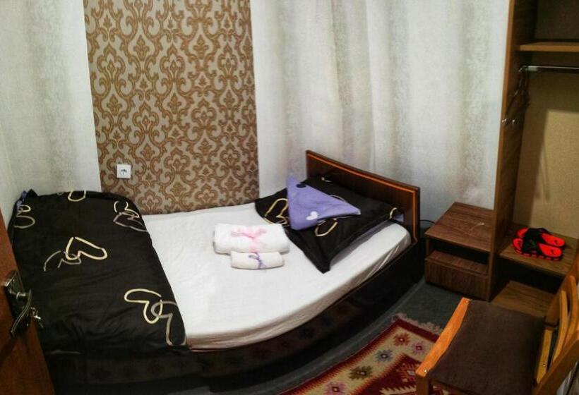 اتاق اکونومی یک تخته, Hostel Violet