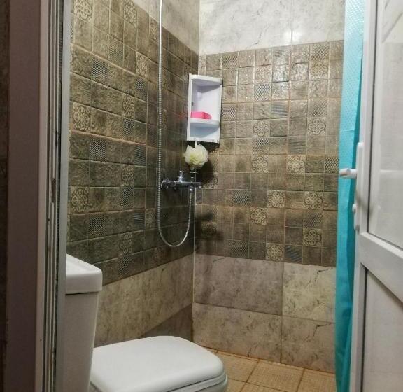 اتاق اکونومی, Hostel Violet