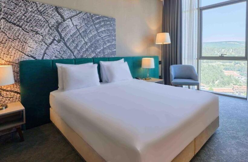 キングサイズベッドのデラックスルーム, Park Dedeman Kastamonu