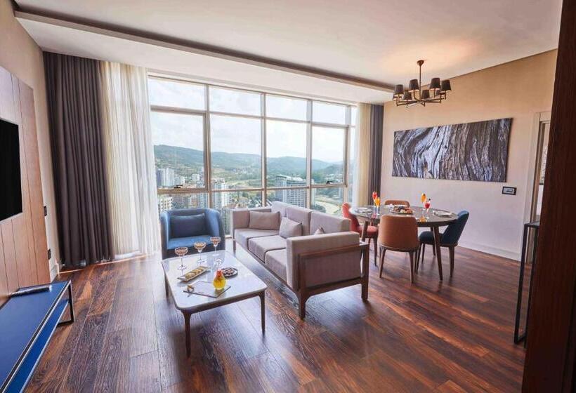 سوئیت با تخت بزرگ, Park Dedeman Kastamonu
