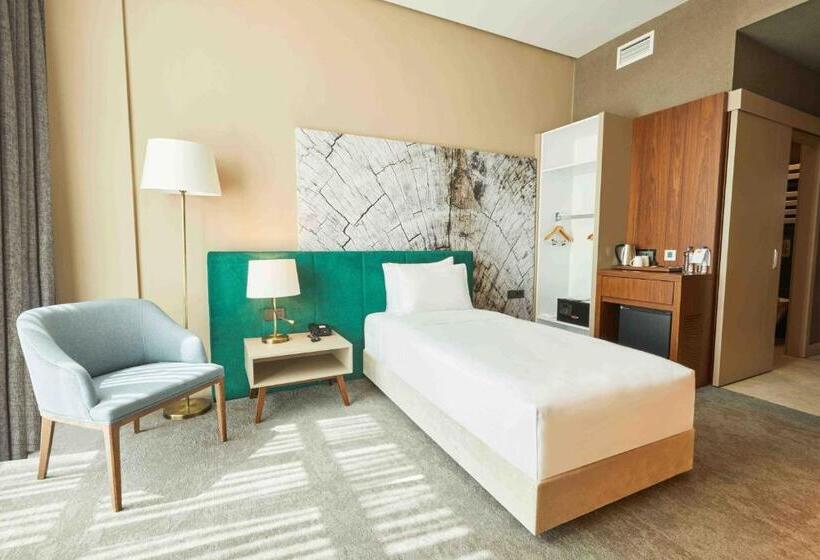 身障者適用シングルルーム, Park Dedeman Kastamonu