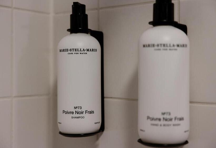 غرفة إقتصادية, Logementen Dokkum