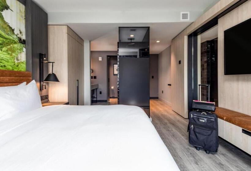 高级客房, Hyatt Centric Charlotte Southpark