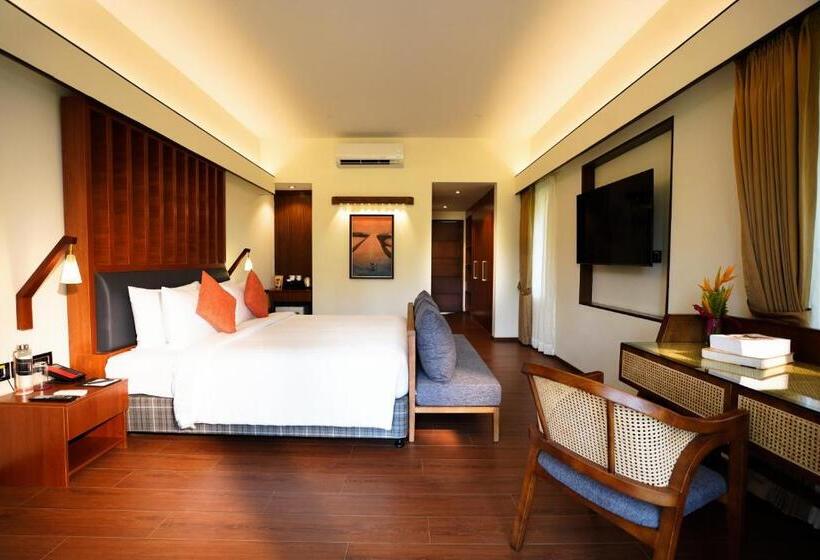 Suíte, Rosetta By Ferns