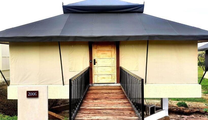 Standard Tent, Rosetta By Ferns