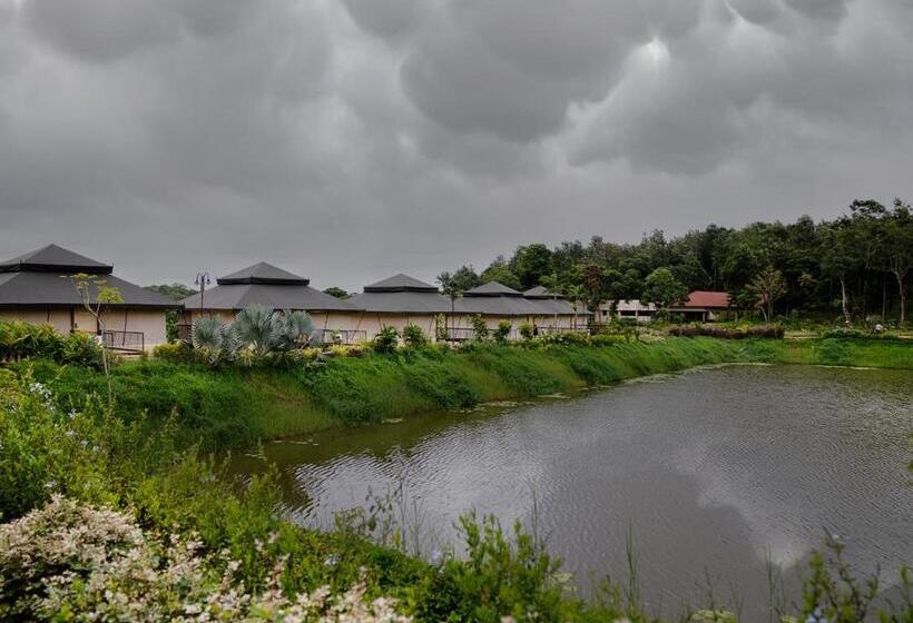 Tenda Padrão, Rosetta By Ferns