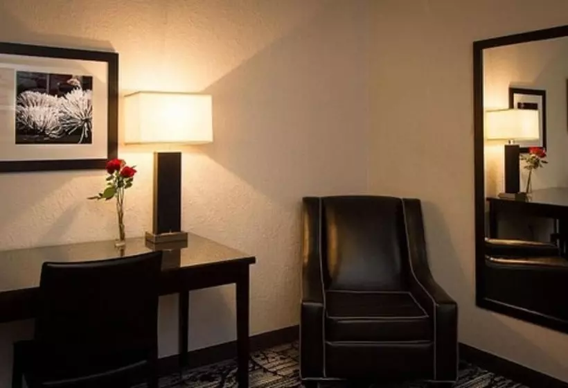 اتاق استاندارد یک نفره, Granada Inn