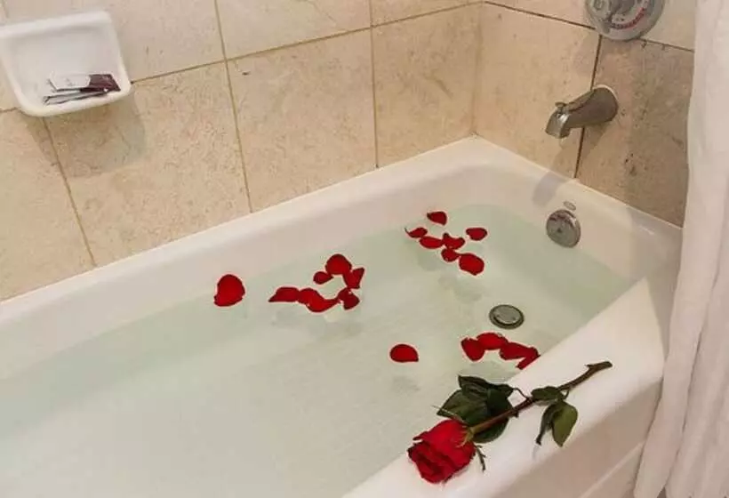 اتاق استاندارد یک نفره, Granada Inn