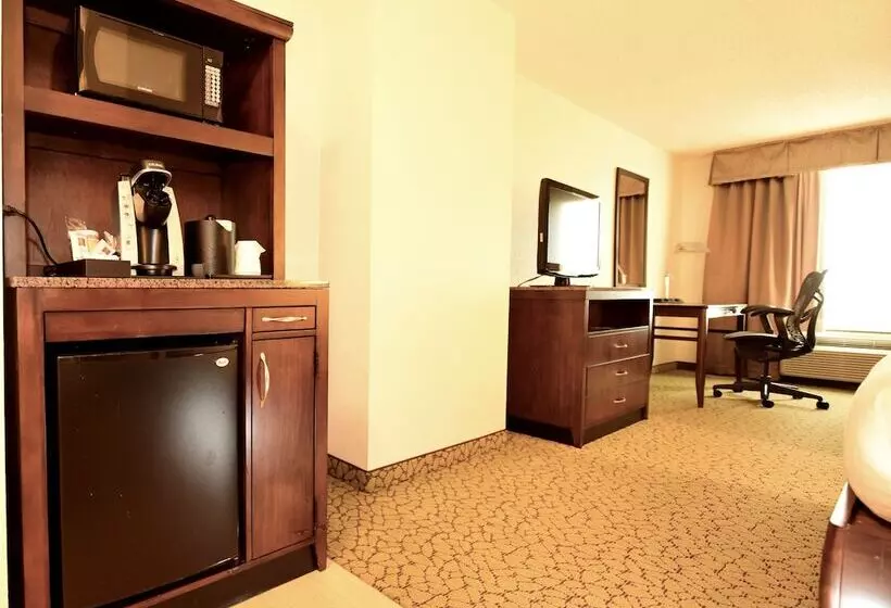 スタンダードルーム, Hilton Garden Inn Orlando East/ucf Area