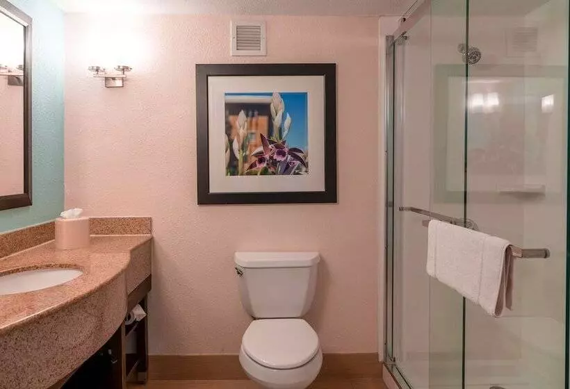 スタンダードルーム, Hilton Garden Inn Orlando East/ucf Area