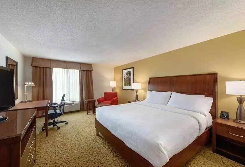 スタンダードルーム, Hilton Garden Inn Orlando East/ucf Area