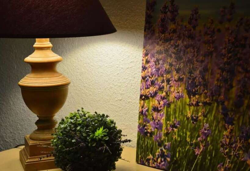 エコノミールーム, Panorama