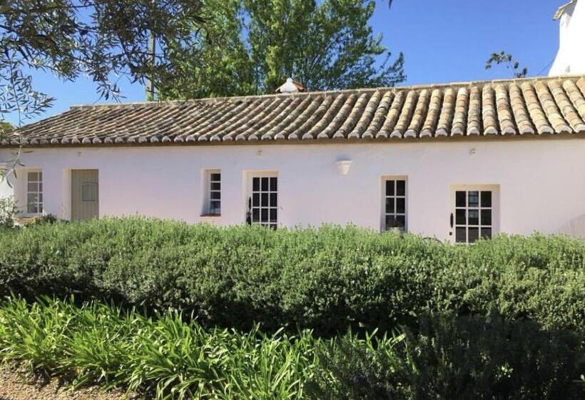 جناح, Quinta Da Lua