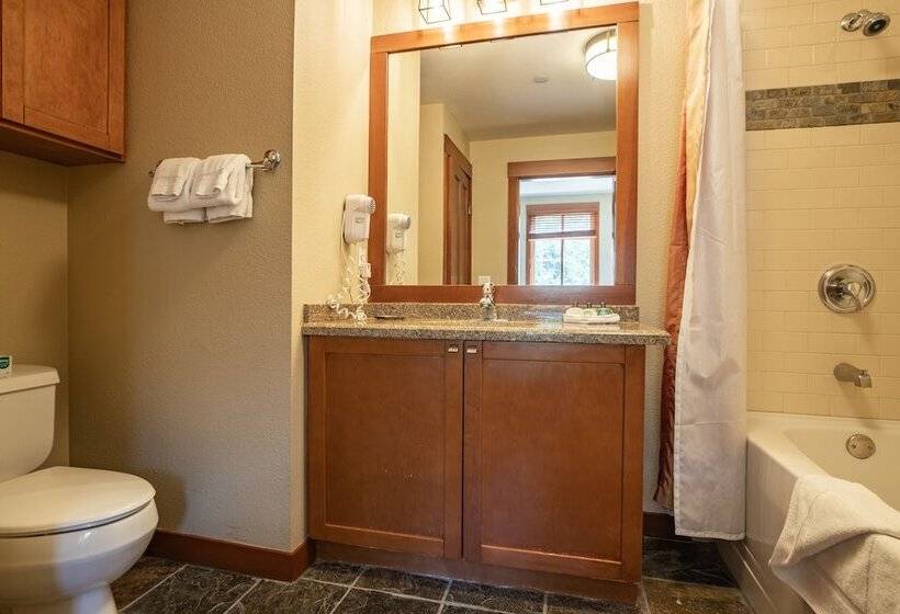 آپارتمان 3 خوابه, The Village At Palisades Tahoe