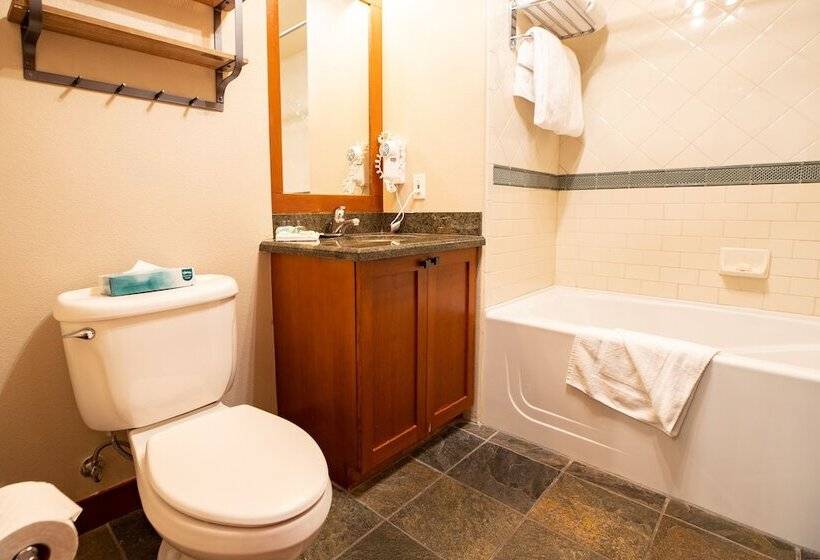 آپارتمان پریمیوم 1 خوابه, The Village At Palisades Tahoe