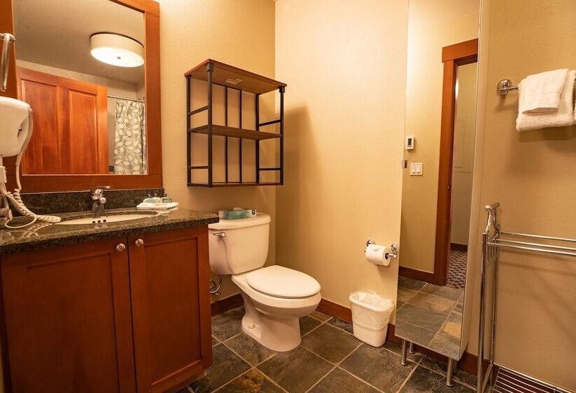آپارتمان پریمیوم 1 خوابه, The Village At Palisades Tahoe