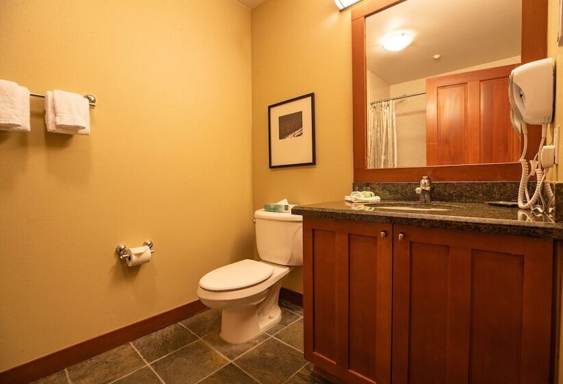 آپارتمان 1 خوابه, The Village At Palisades Tahoe