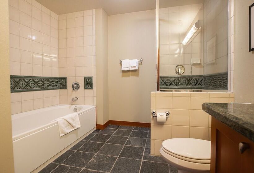 آپارتمان 3 خوابه, The Village At Palisades Tahoe