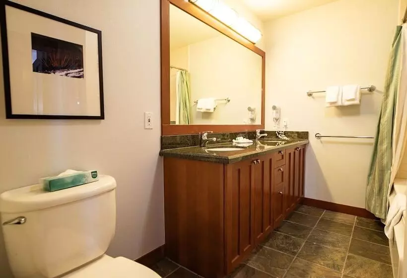 آپارتمان پریمیوم 1 خوابه, The Village At Palisades Tahoe