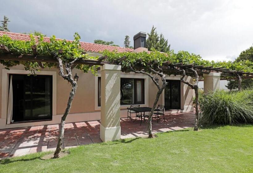 בקתת סופריור בת חדר 1, Casa Agostino   Luxury Wine And Hotel In Bodega Agostino