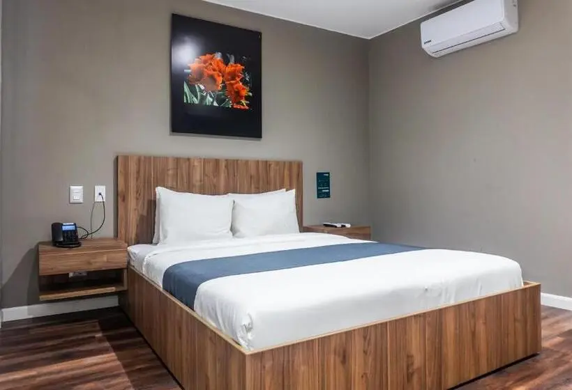 اتاق سوپریور, Equo Hotel Boutique
