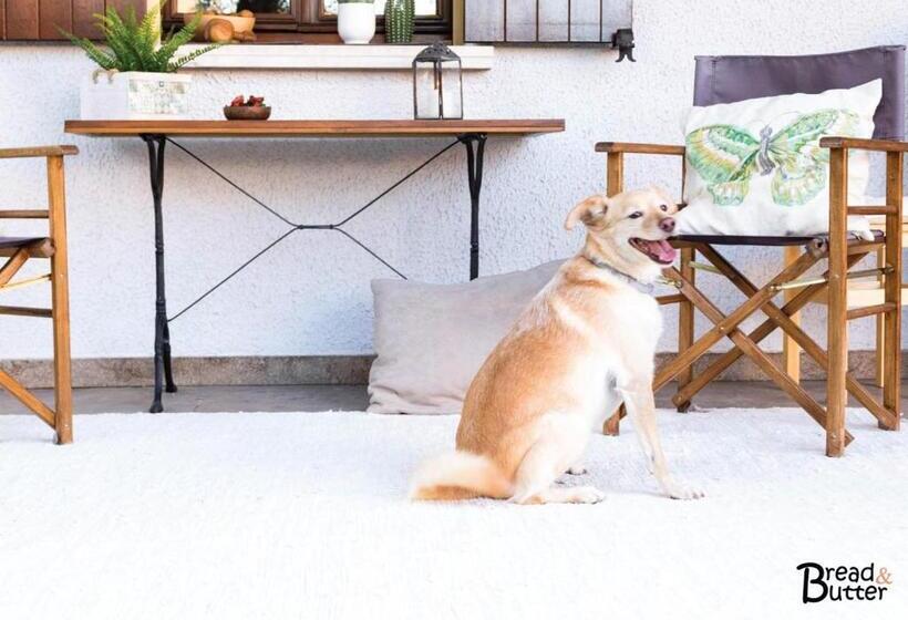 高级大房间, Bread & Butter