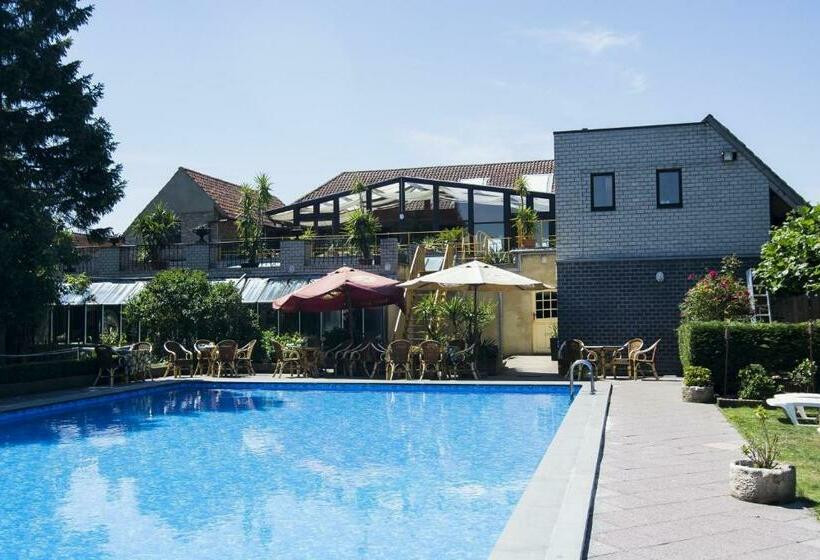 스탠다드 룸, Pacific