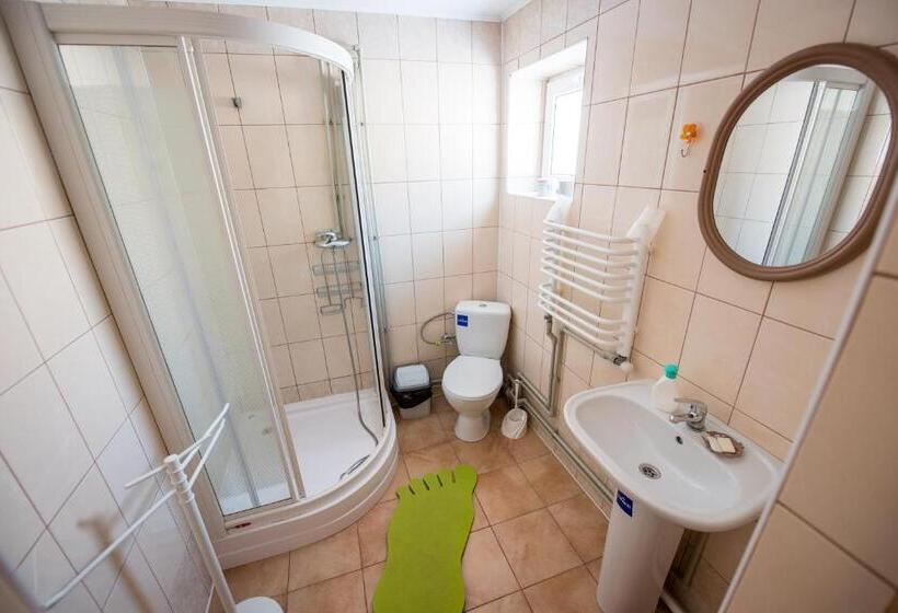 اتاق استاندارد با چشم‌انداز کوهستان, Gazdіvska Hata Guest House