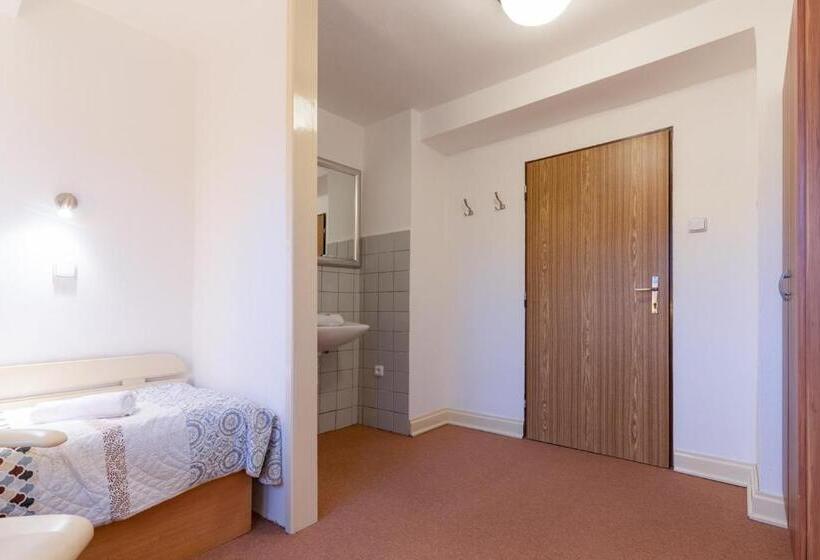 חדר סטנדרט חדר אמבטיה משותף, Penzion Sykovec