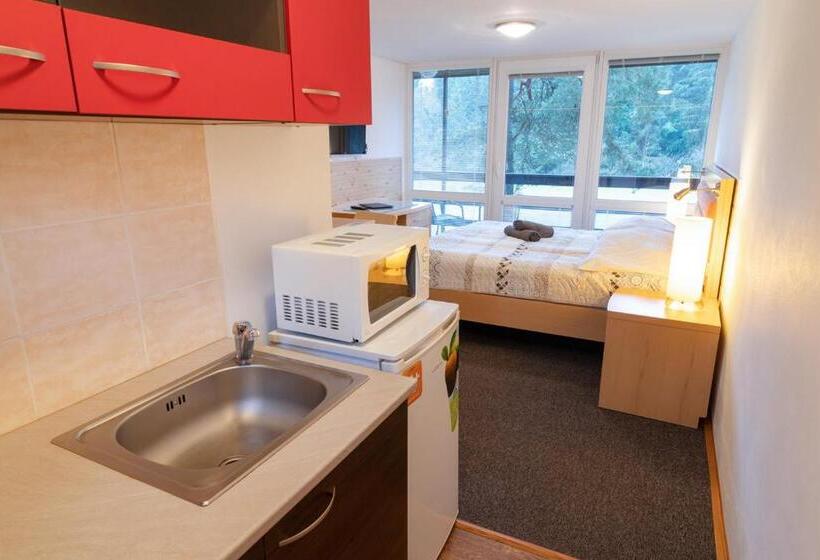 דירת שני חדרים, Penzion Sykovec