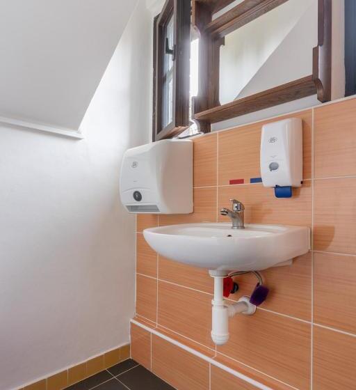 חדר סטנדרד יחיד חדר אמבטיה משותף, Penzion Sykovec