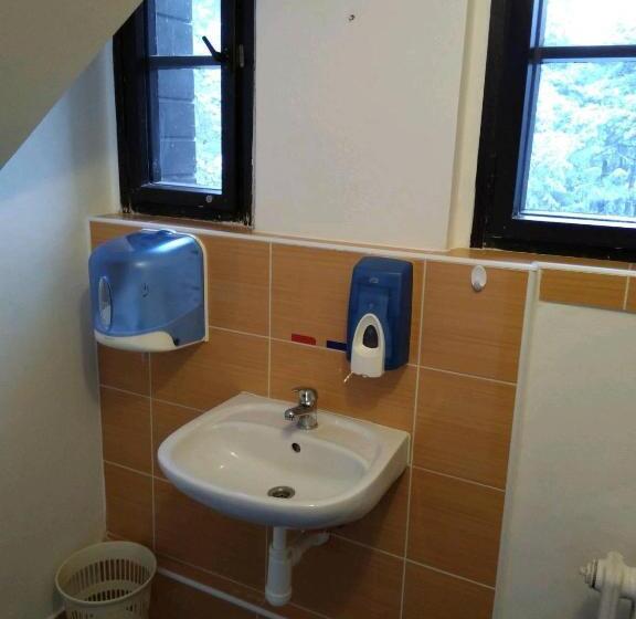 חדר סטנדרד יחיד חדר אמבטיה משותף, Penzion Sykovec