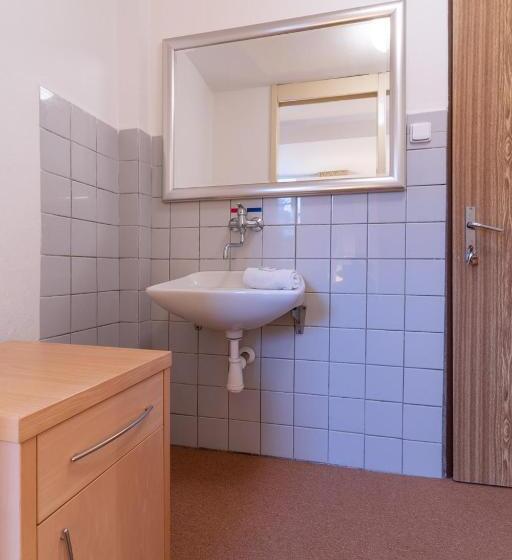 חדר סטנדרט לשלושה עם חדר אמבטיה משוף, Penzion Sykovec