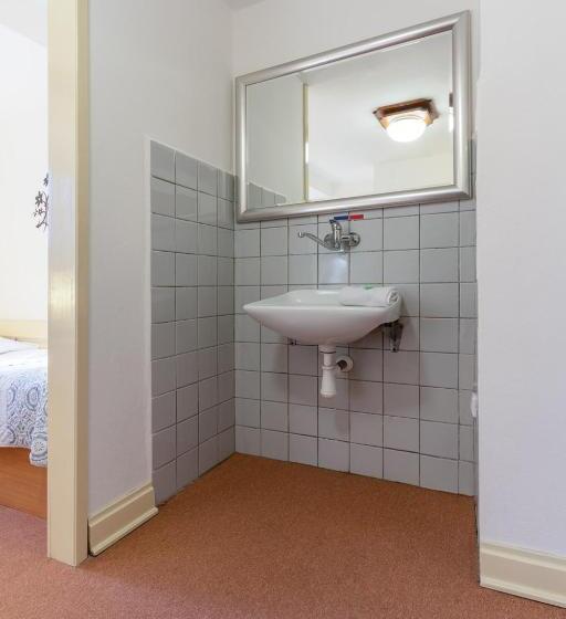 חדר סטנדרט לשלושה עם חדר אמבטיה משוף, Penzion Sykovec