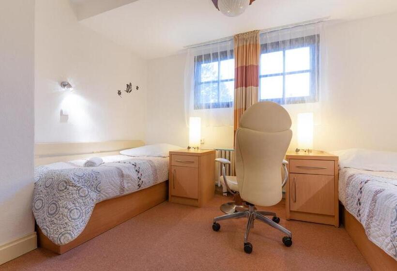 חדר סטנדרט חדר אמבטיה משותף, Penzion Sykovec