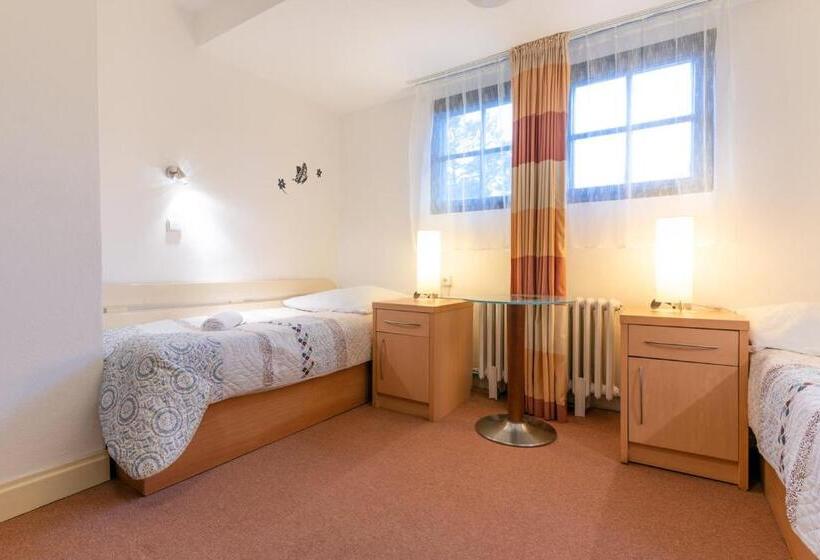 חדר סטנדרט חדר אמבטיה משותף, Penzion Sykovec