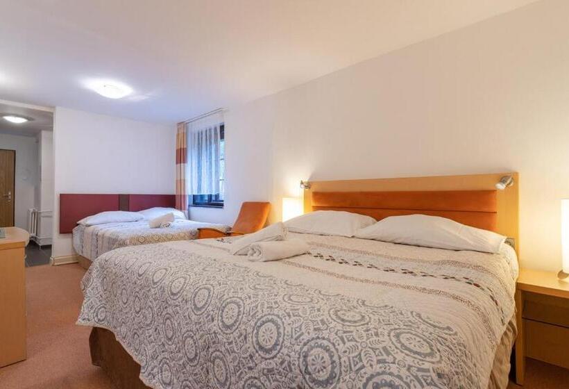 חדר משפחתי, Penzion Sykovec