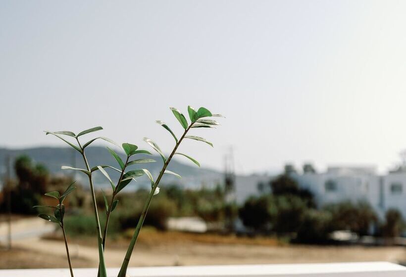 Люкс Повышенной Комфортности, Aegean Palace