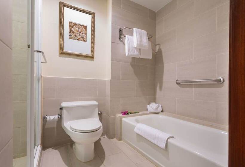 스탠다드 룸 더블 침대 2개, Courtyard By Marriott Panama Multiplaza Mall