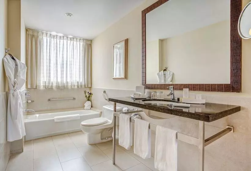 اتاق اجرایی, Courtyard By Marriott Panama Multiplaza Mall