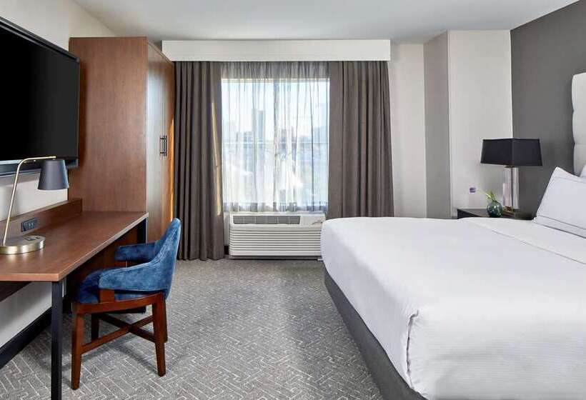 スタンダードルーム, Cumberland House Knoxville, Tapestry Collection By Hilton