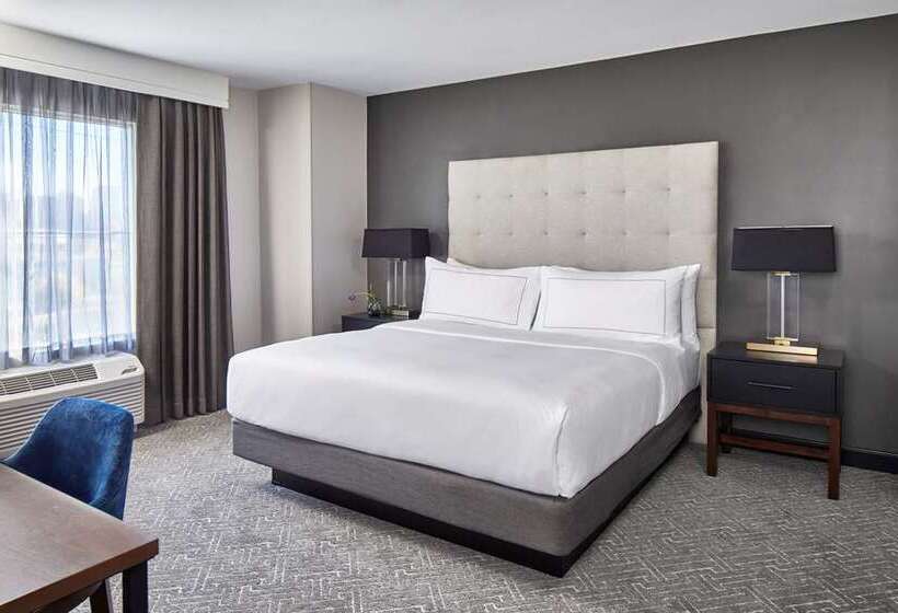 スタンダードルーム, Cumberland House Knoxville, Tapestry Collection By Hilton