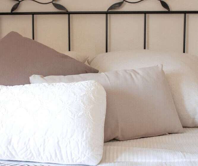 스탠다드 싱글 룸, Fonda Mitjà