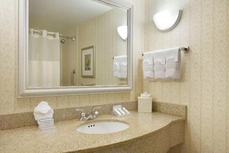 キングサイズベッドのスタンダードルーム, Hilton Garden Inn Fairfax