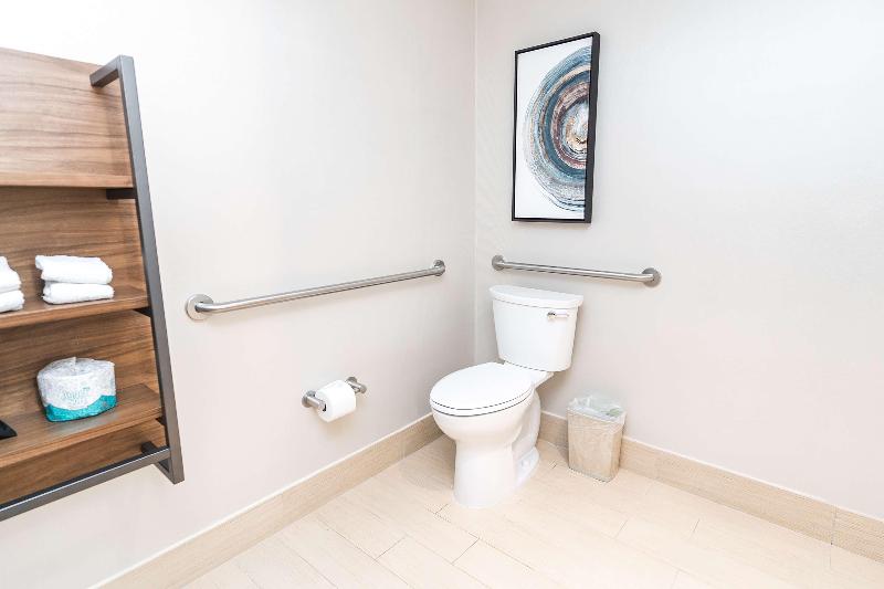 חדר סטנדרט עם מיטת קינג, Hilton Garden Inn Fairfax